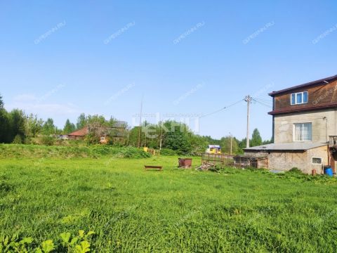 derevnya-maloe-chuhovo-gorodskoy-okrug-chkalovsk фото