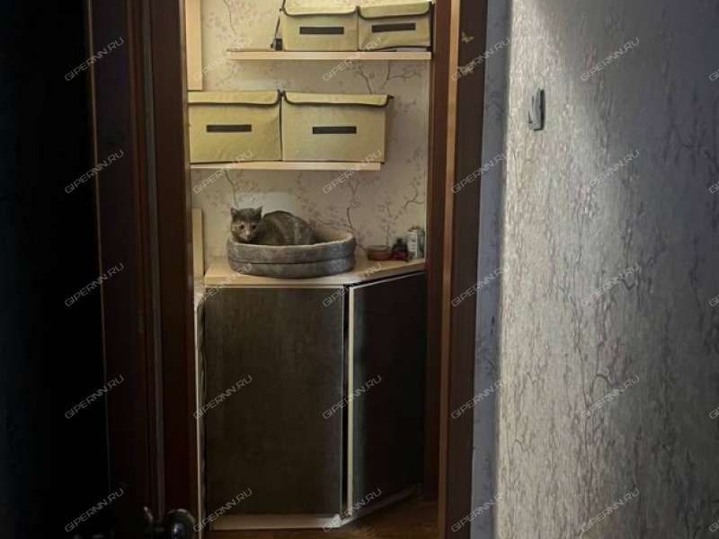 двухкомнатная квартира на Большевистской улице дом 6