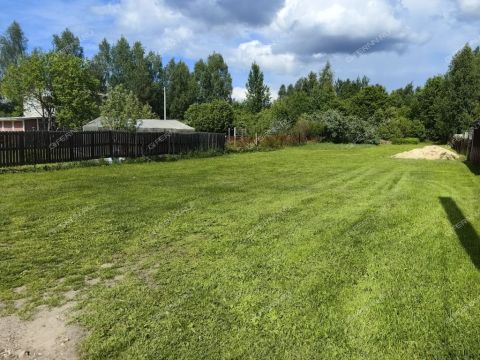 derevnya-istomino-balahninskiy-municipalnyy-okrug фото
