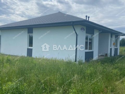 dom-derevnya-lisino-gorodeckiy-rayon фото