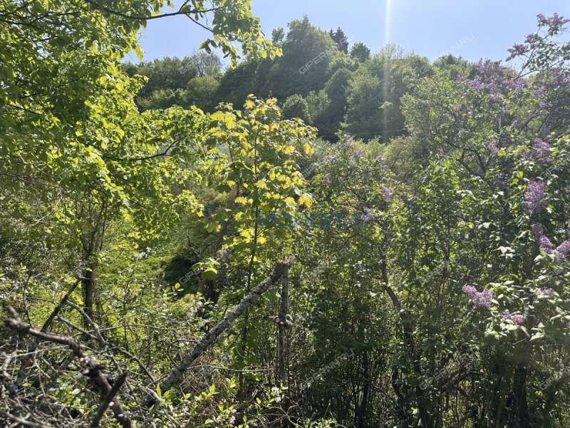 дом на улице Зеленая село Безводное