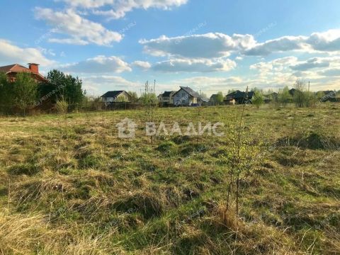 selo-ostankino-gorodskoy-okrug-bor фото