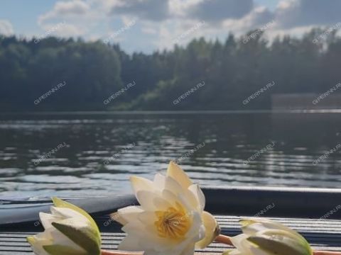 2-komnatnaya-ul-leskova-d-56a фото