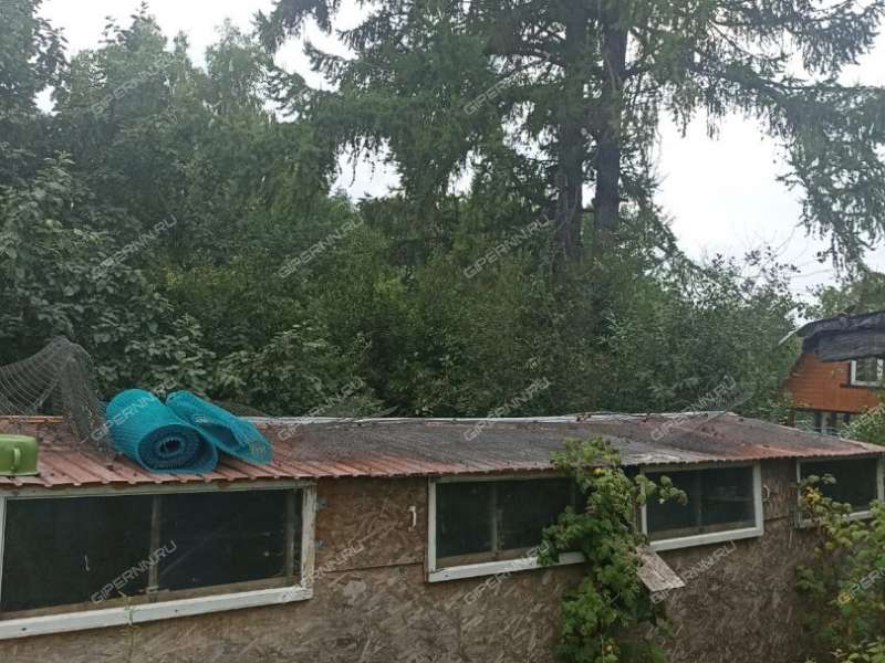 земельный участок 10 соток село Редькино