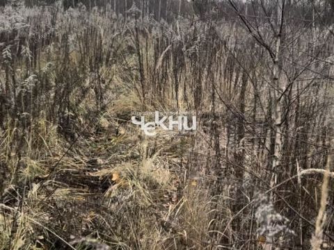 selo-bezvodnoe-kstovskiy-rayon фото