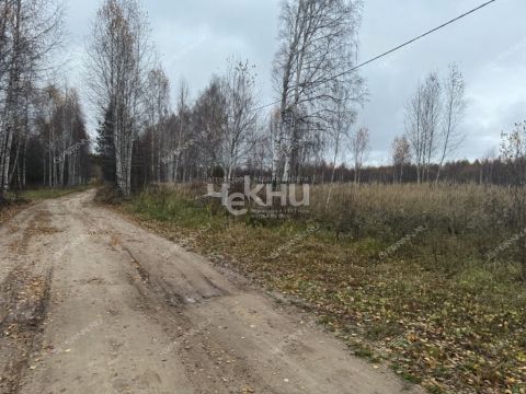 derevnya-kudrino-sokolskiy-gorodskoy-okrug фото