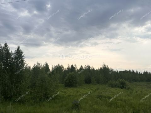 sherstnevo-gorodskoy-okrug-bor фото