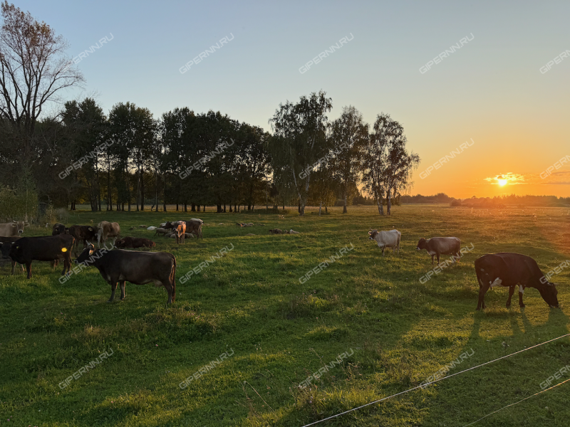 дом на улице Нагорная