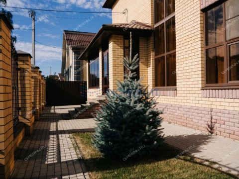 dom-gorod-arzamas-gorodskoy-okrug-arzamas фото