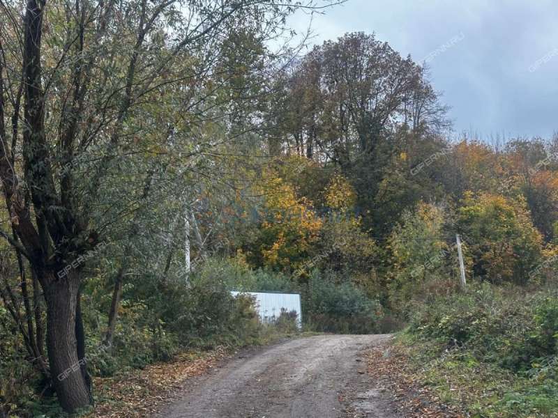 земельный участок 5 соток Родниковая улица деревня Афонино