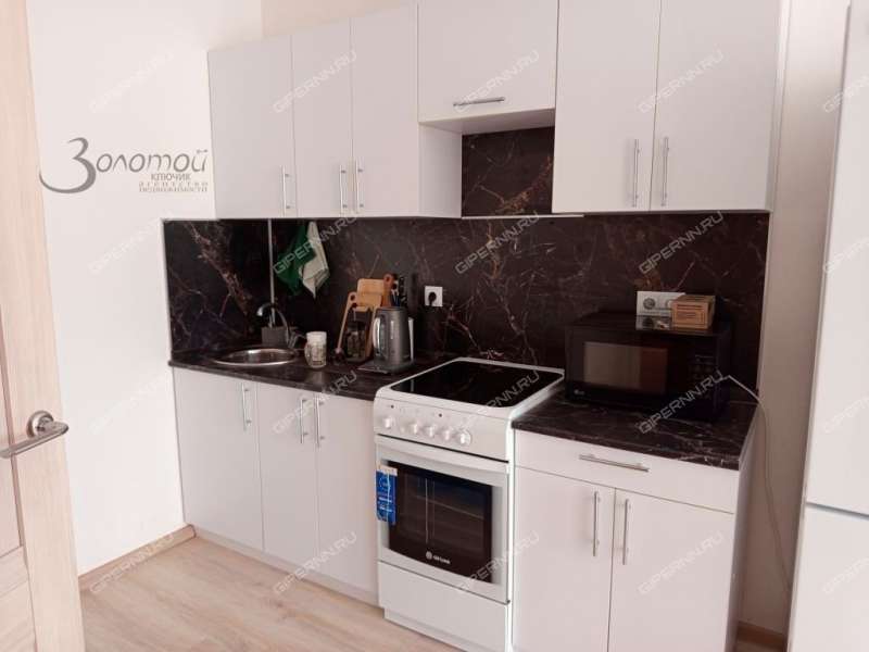 однокомнатная квартира на Русской улице улице дом 19 деревня Анкудиновка