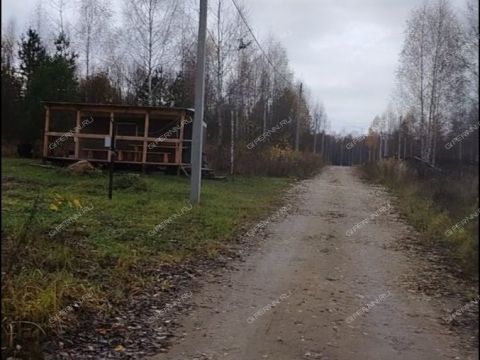 derevnya-krivaya-sheloksha-kstovskiy-rayon фото