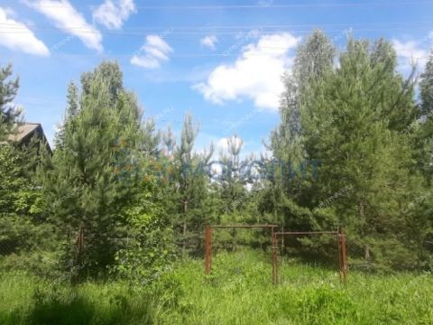 dom-selo-ilino-zaborskoe-semenovskiy-gorodskoy-okrug фото