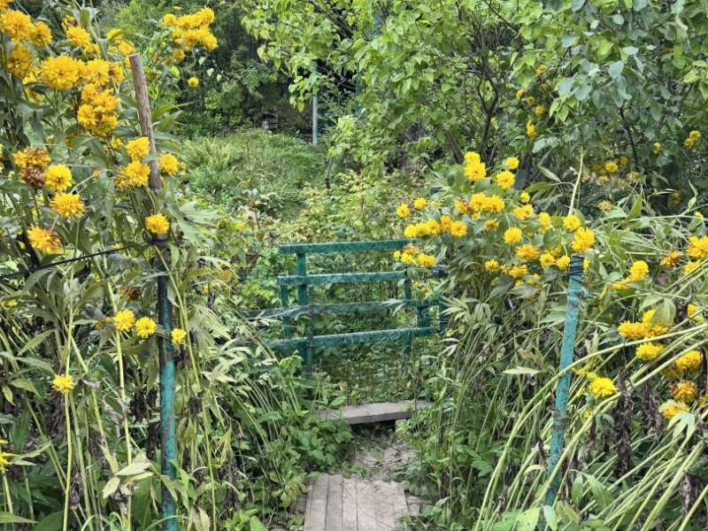 сад на Широтной улице