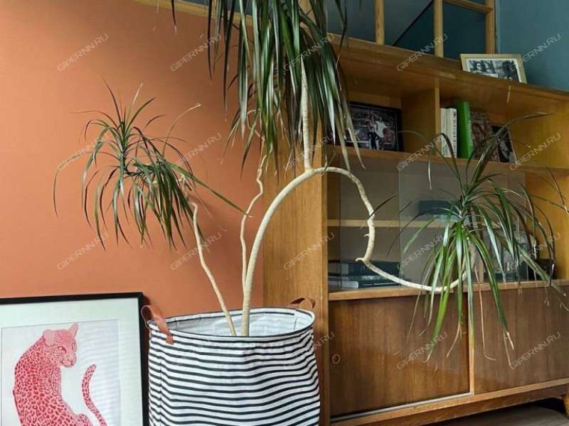 дом на Больничная-2 посёлок Ситники