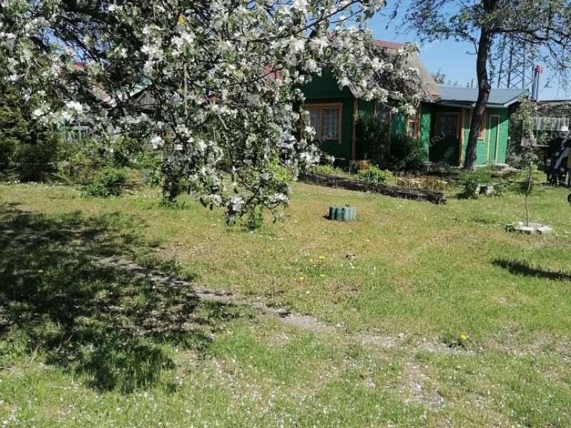 дача на с/т им Тимирязева Территория