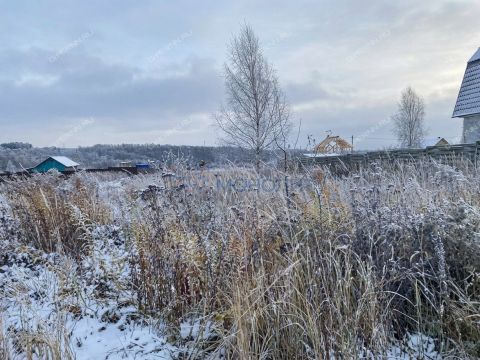 derevnya-shumilovo-bogorodskiy-municipalnyy-okrug фото