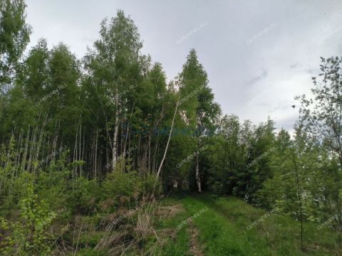 derevnya-besedy-gorodskoy-okrug-chkalovsk фото