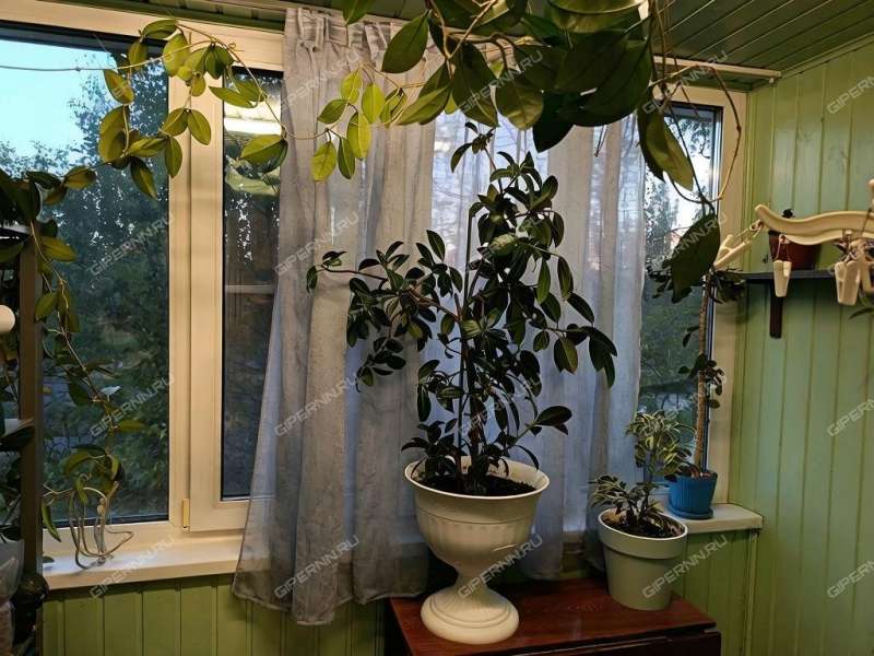 трёхкомнатная квартира на улице Сергея Акимова дом 2