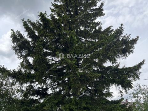 dom-rabochiy-poselok-vyezdnoe-gorodskoy-okrug-arzamas фото