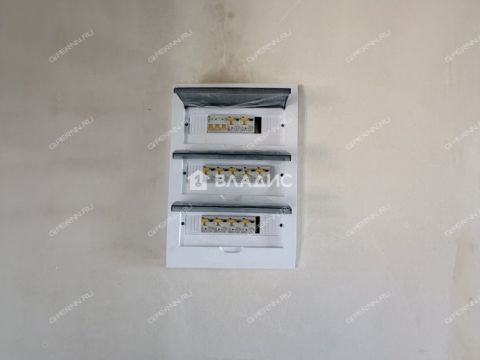 dom-derevnya-royka-kstovskiy-rayon фото