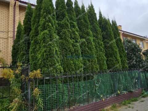 novinskiy-selsovet фото