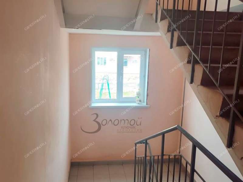 квартира-студия на Васильковой улице дом 161а