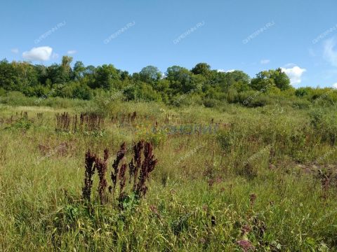 derevnya-kolganovo-gorodskoy-okrug-chkalovsk фото