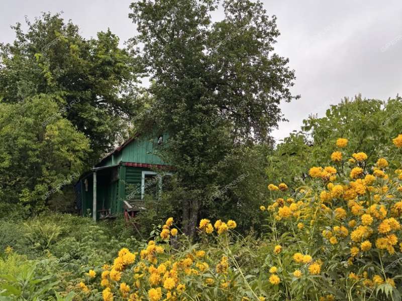 сад на Широтной улице