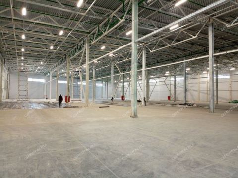 moskovskoe-sh-d-300 фото