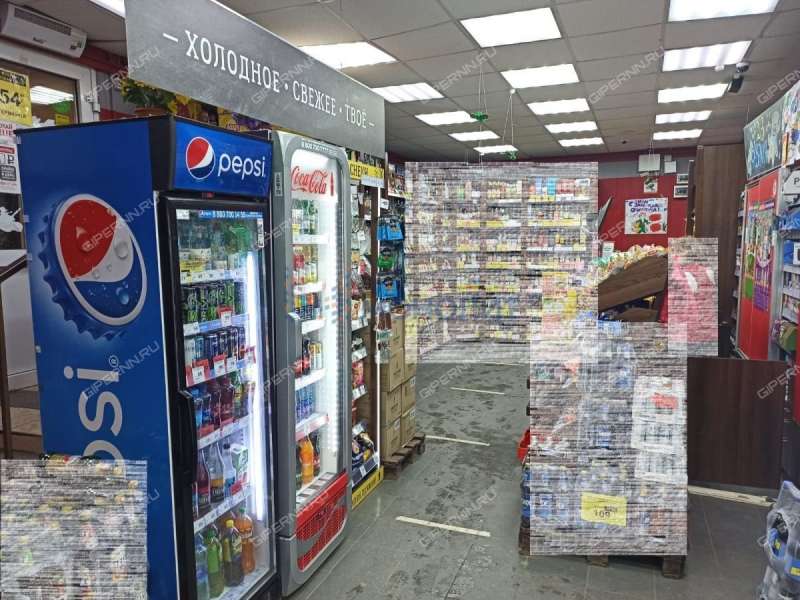 помещение под торговую площадь, склад на улице Ленина село Гагино