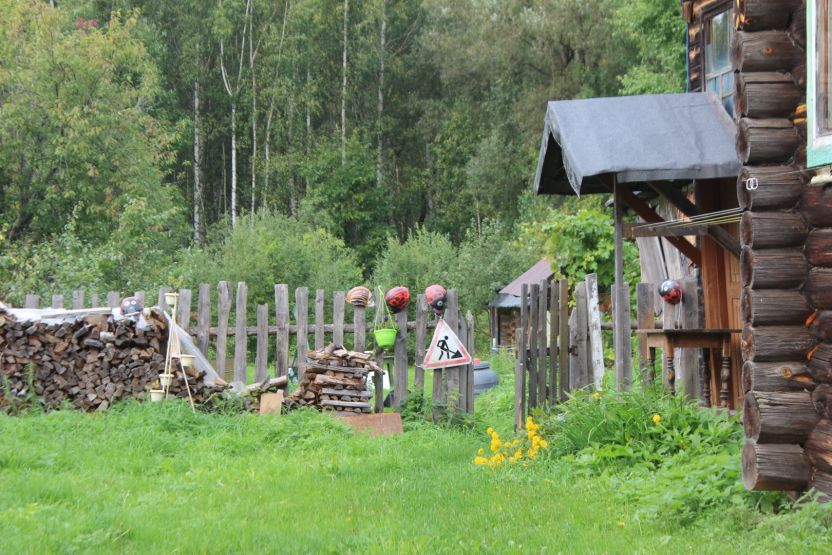 Фото: Ксения Ражева / gipernn.ru