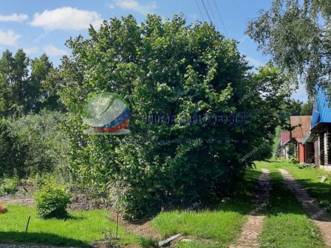 derevnya-korobeynikovo-gorodeckiy-rayon фото