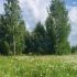 земельный участок 30 соток деревня Бурцево