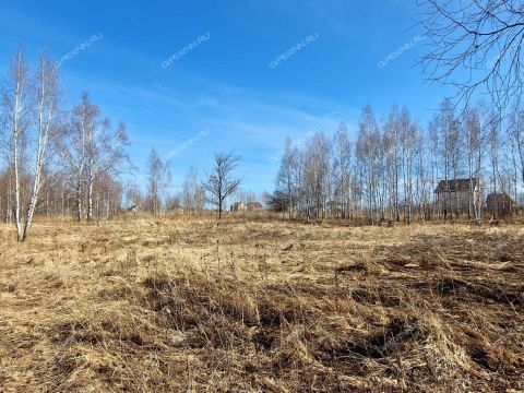 derevnya-novolikeevo-kstovskiy-rayon фото