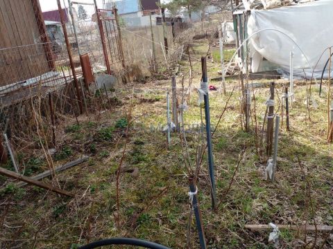 dacha-imeni-40-let-pobedy-ter-snt фото