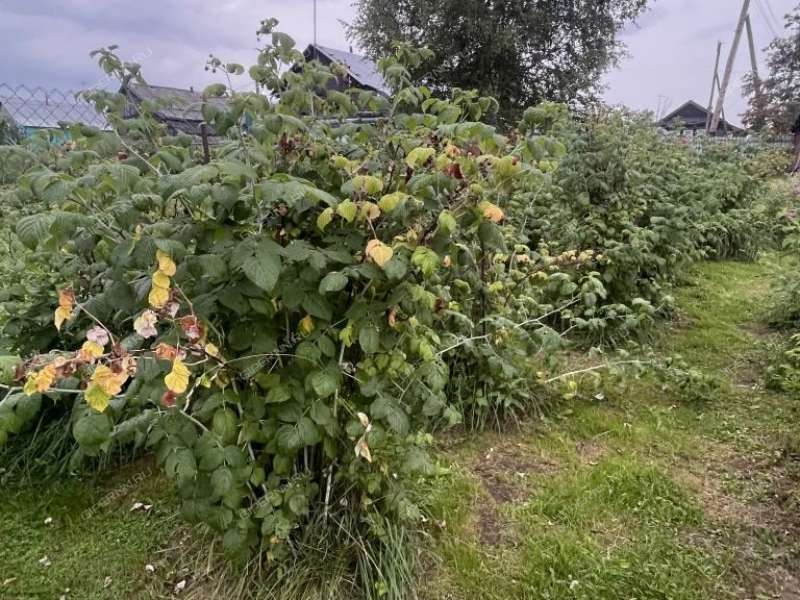 дача на Советской улице деревня Макариха