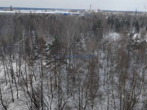 3-komnatnaya-ul-zayceva-d-22 фото