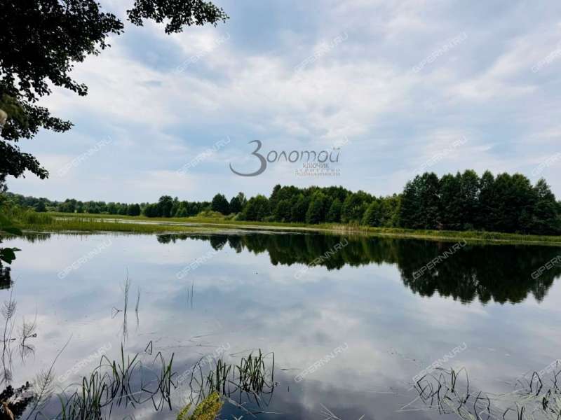 земельный участок 12 соток село Пурех