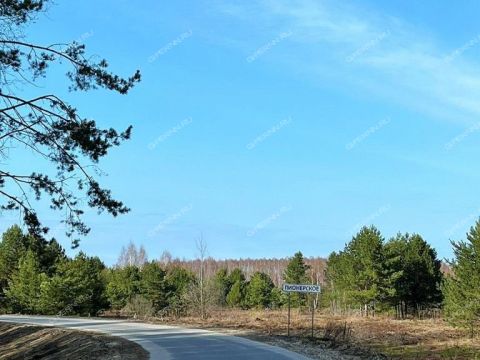 dom-derevnya-pionerskoe-gorodskoy-okrug-bor фото