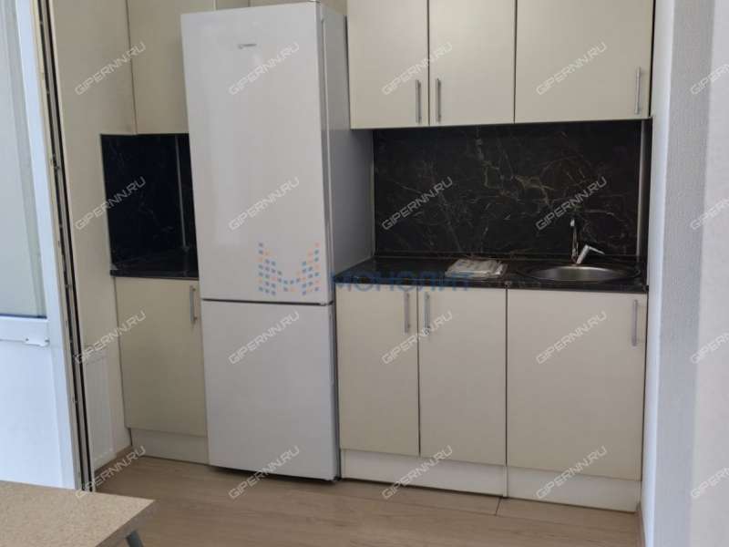 двухкомнатная квартира на Русской улице улице дом 9 деревня Анкудиновка