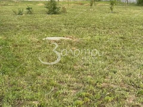 dom-derevnya-burcevo-bogorodskiy-municipalnyy-okrug фото