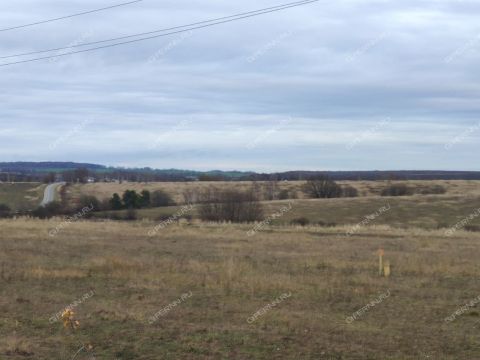selo-svoboda-vadskiy-municipalnyy-okrug фото