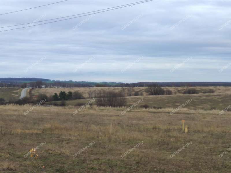 земельный участок 363 сотки Южная улица село Свобода