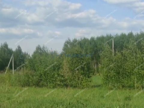 selo-timonkino-gorodskoy-okrug-chkalovsk фото