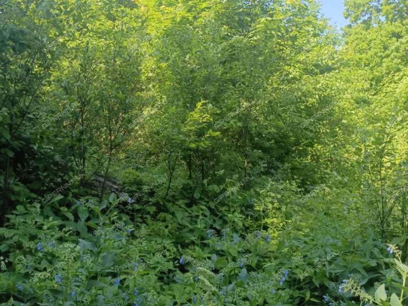 земельный участок 7 соток посёлок Малиновая Гряда