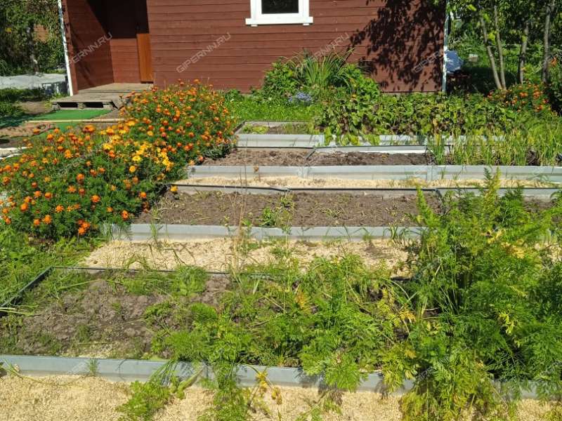 дача на СНТ Надежда