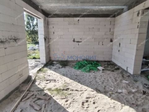 kottedzh-derevnya-shumilovo-bogorodskiy-municipalnyy-okrug фото