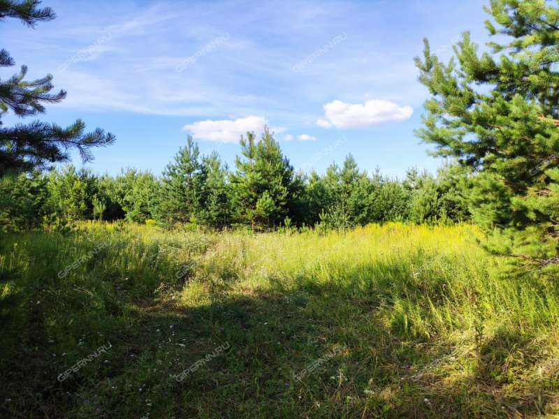 земельный участок 6,6 сотки Садовая деревня Шумилово