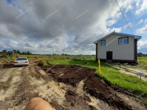 derevnya-prudy-bogorodskiy-municipalnyy-okrug фото